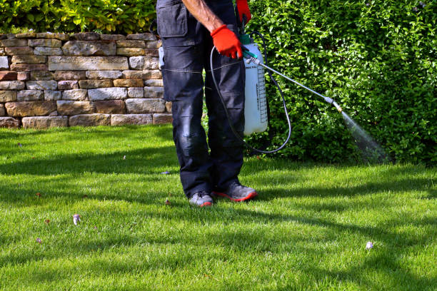 Best Pest Prevention Services  in Keyes, CA